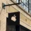 Apple Pay supuestamente basado en la tecnología robada, tanto por pensar diferente